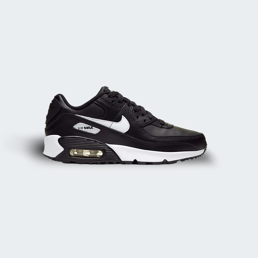 Nike Air Max 90 LTR